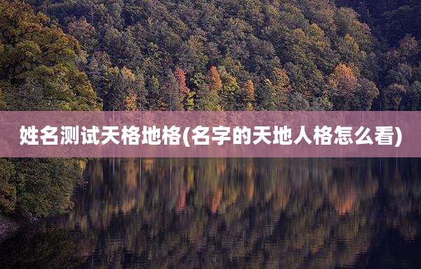 姓名测试天格地格(名字的天地人格怎么看)