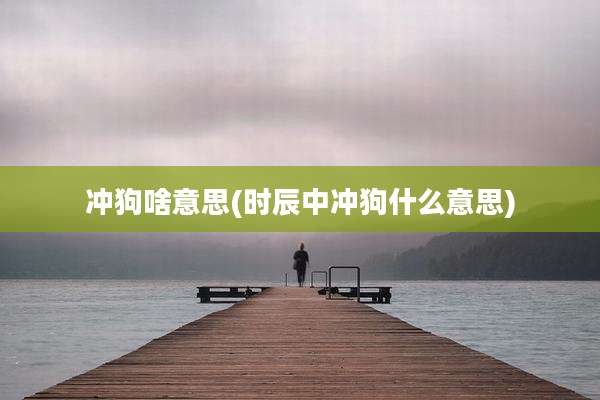 冲狗啥意思(时辰中冲狗什么意思)