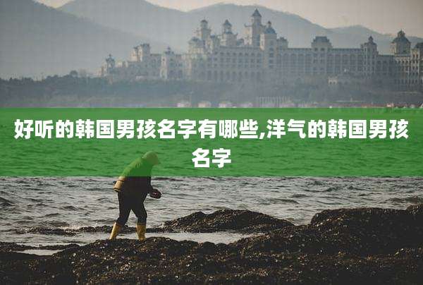 好听的韩国男孩名字有哪些,洋气的韩国男孩名字
