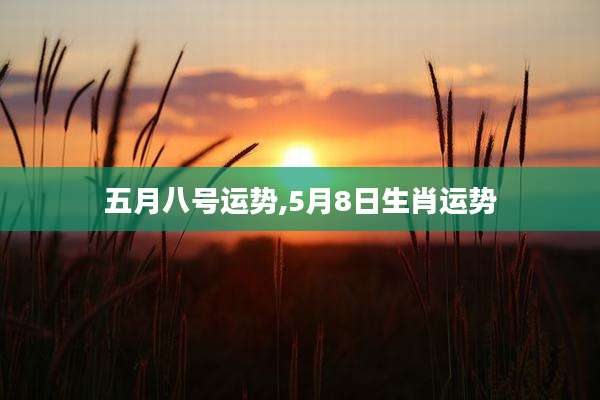 五月八号运势,5月8日生肖运势
