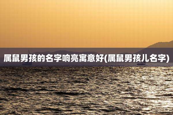 属鼠男孩的名字响亮寓意好(属鼠男孩儿名字)