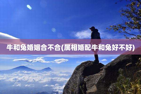 牛和兔婚姻合不合(属相婚配牛和兔好不好)
