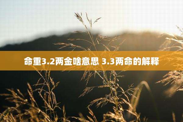 命重3.2两金啥意思 3.3两命的解释
