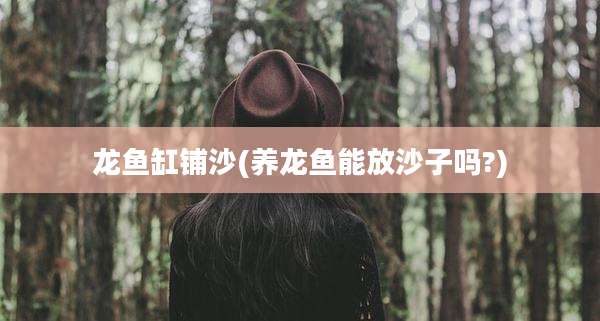 龙鱼缸铺沙(养龙鱼能放沙子吗?)