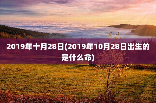2019年十月28日(2019年10月28日出生的是什么命)