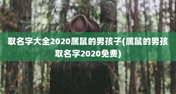 取名字大全2020属鼠的男孩子(属鼠的男孩取名字2020免费)