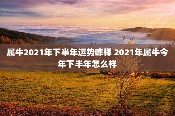 属牛2021年下半年运势咋样 2021年属牛今年下半年怎么样