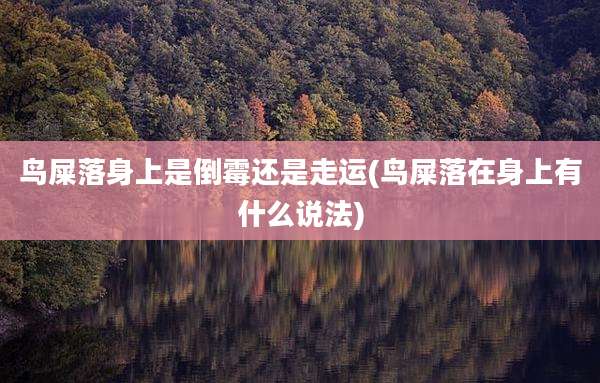 鸟屎落身上是倒霉还是走运(鸟屎落在身上有什么说法)
