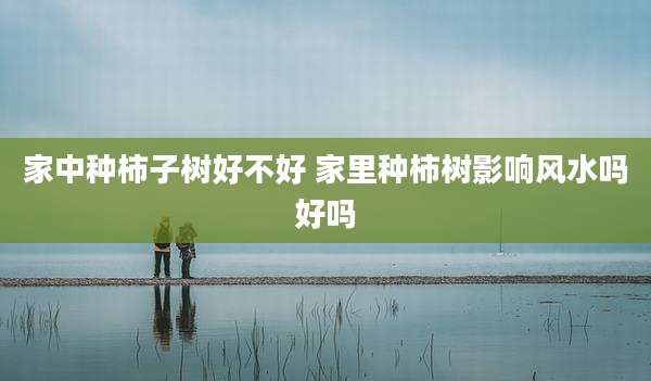 家中种柿子树好不好 家里种柿树影响风水吗好吗