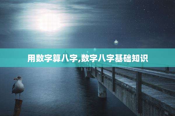 用数字算八字,数字八字基础知识