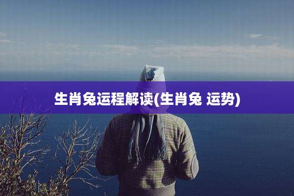 生肖兔运程解读(生肖兔 运势)