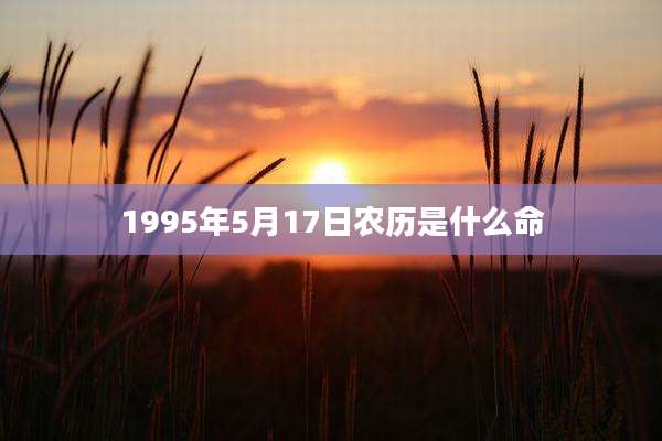 1995年5月17日农历是什么命