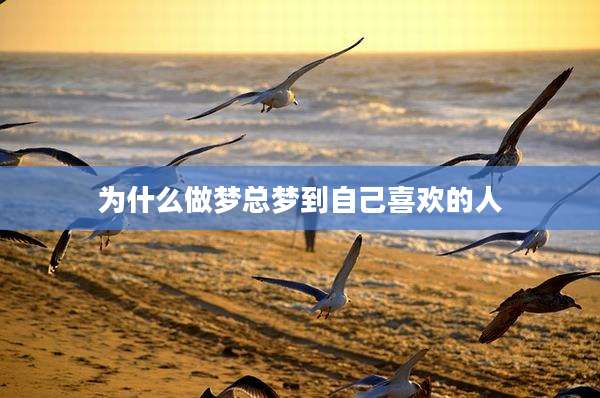 为什么做梦总梦到自己喜欢的人
