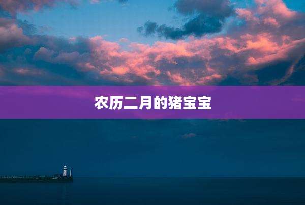 农历二月的猪宝宝