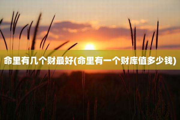 命里有几个财最好(命里有一个财库值多少钱)