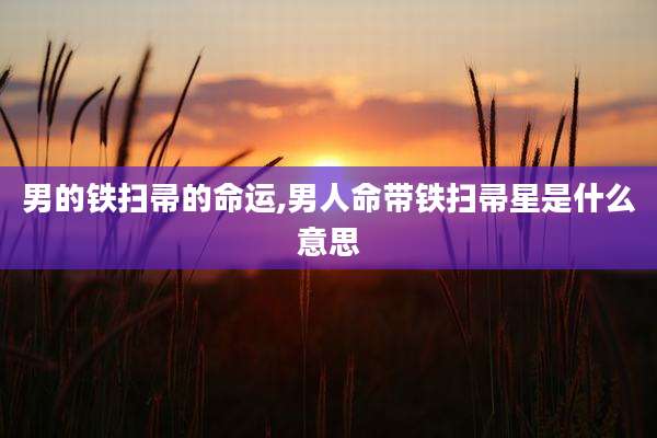 男的铁扫帚的命运,男人命带铁扫帚星是什么意思