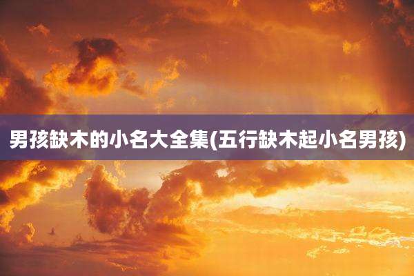 男孩缺木的小名大全集(五行缺木起小名男孩)