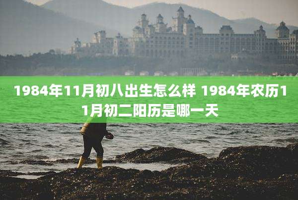 1984年11月初八出生怎么样 1984年农历11月初二阳历是哪一天