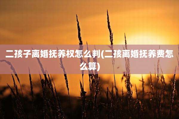 二孩子离婚抚养权怎么判(二孩离婚抚养费怎么算)