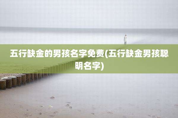 五行缺金的男孩名字免费(五行缺金男孩聪明名字)