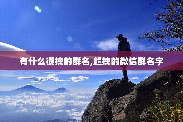 有什么很拽的群名,超拽的微信群名字
