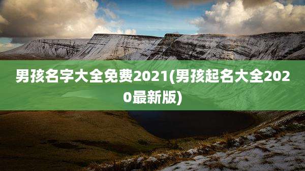 男孩名字大全免费2021(男孩起名大全2020最新版)