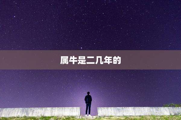 属牛是二几年的