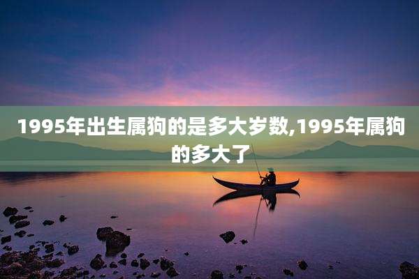 1995年出生属狗的是多大岁数,1995年属狗的多大了