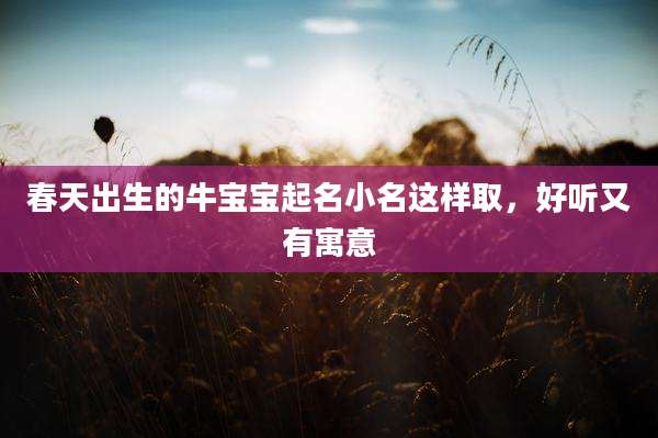 春天出生的牛宝宝起名小名这样取，好听又有寓意