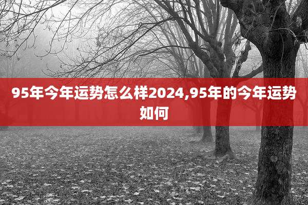 95年今年运势怎么样2024,95年的今年运势如何