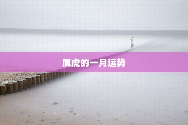 属虎的一月运势