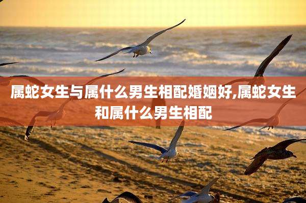 属蛇女生与属什么男生相配婚姻好,属蛇女生和属什么男生相配
