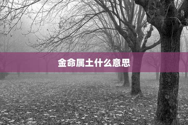 金命属土什么意思