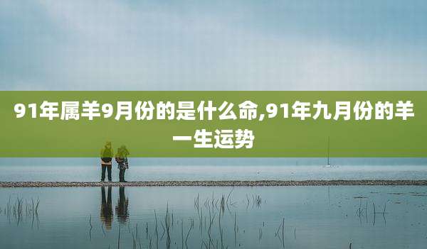 91年属羊9月份的是什么命,91年九月份的羊一生运势