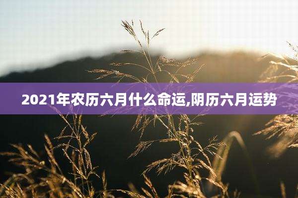 2021年农历六月什么命运,阴历六月运势