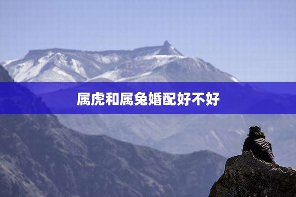 属虎和属兔婚配好不好