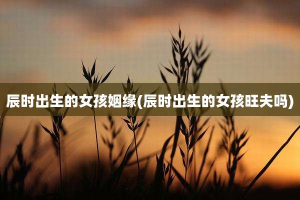 辰时出生的女孩姻缘(辰时出生的女孩旺夫吗)
