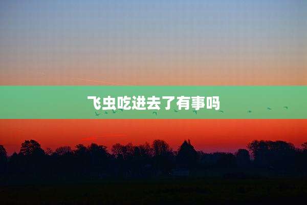 飞虫吃进去了有事吗