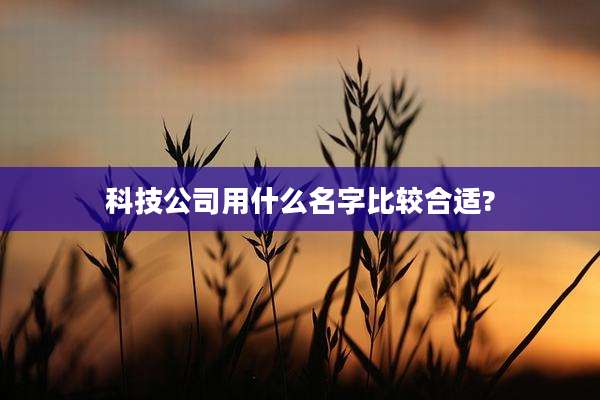 科技公司用什么名字比较合适?