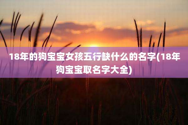 18年的狗宝宝女孩五行缺什么的名字(18年狗宝宝取名字大全)