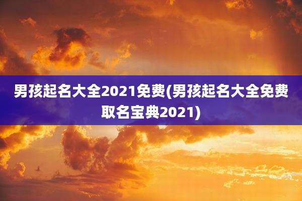 男孩起名大全2021免费(男孩起名大全免费取名宝典2021)