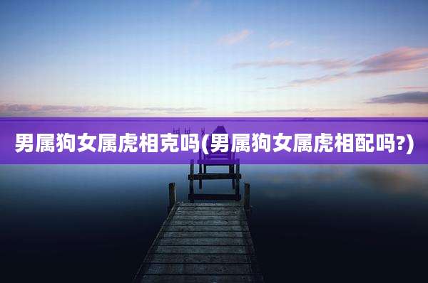 男属狗女属虎相克吗(男属狗女属虎相配吗?)