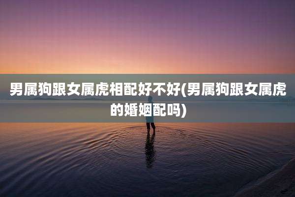 男属狗跟女属虎相配好不好(男属狗跟女属虎的婚姻配吗)