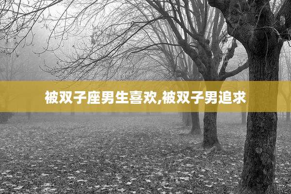 被双子座男生喜欢,被双子男追求