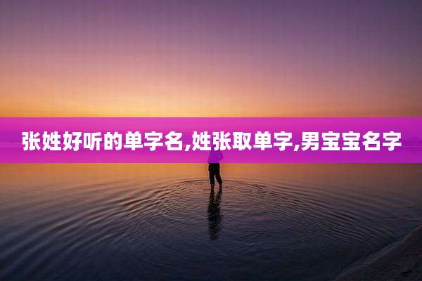 张姓好听的单字名,姓张取单字,男宝宝名字