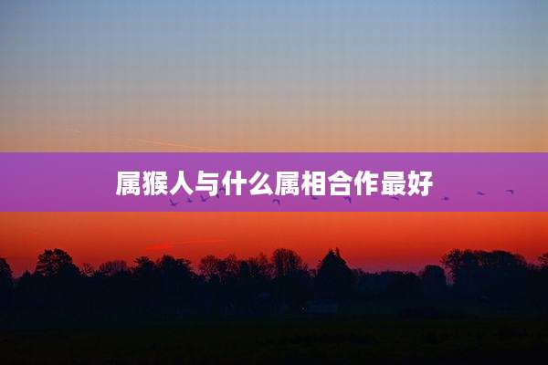 属猴人与什么属相合作最好