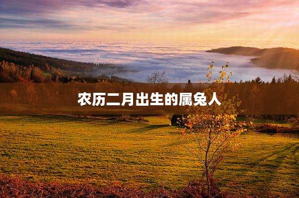 农历二月出生的属兔人
