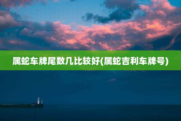 属蛇车牌尾数几比较好(属蛇吉利车牌号)