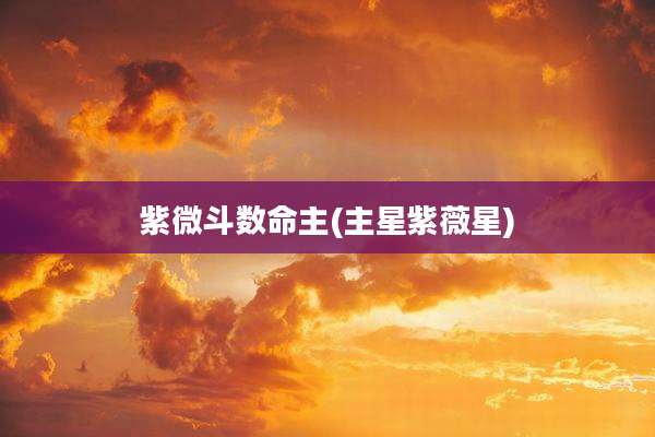 紫微斗数命主(主星紫薇星)