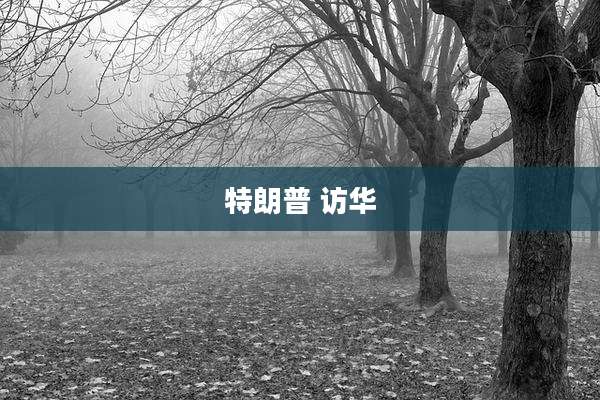 特朗普 访华